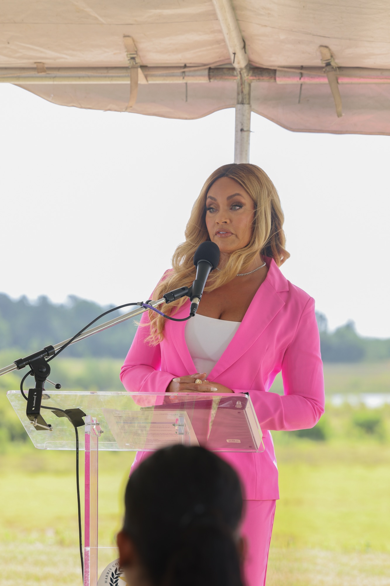 Photo from the Curtis Graves Park ribbon cutting and reception